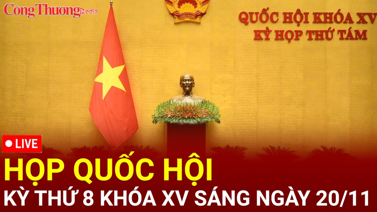 [TRỰC TIẾP]: Quốc hội thảo luận về dự án Luật Nhà giáo sáng ngày 20/11/2024