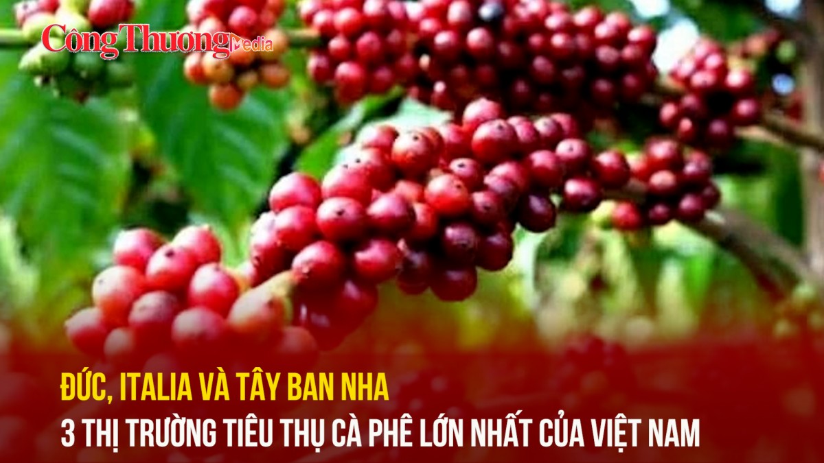 Đức, Italia và Tây Ban Nha 3 thị trường tiêu thụ cà phê lớn nhất của Việt Nam