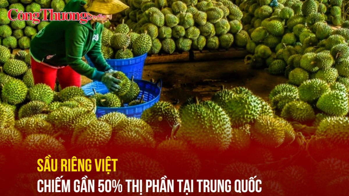 Sầu riêng Việt chiếm gần 50% thị phần tại Trung Quốc