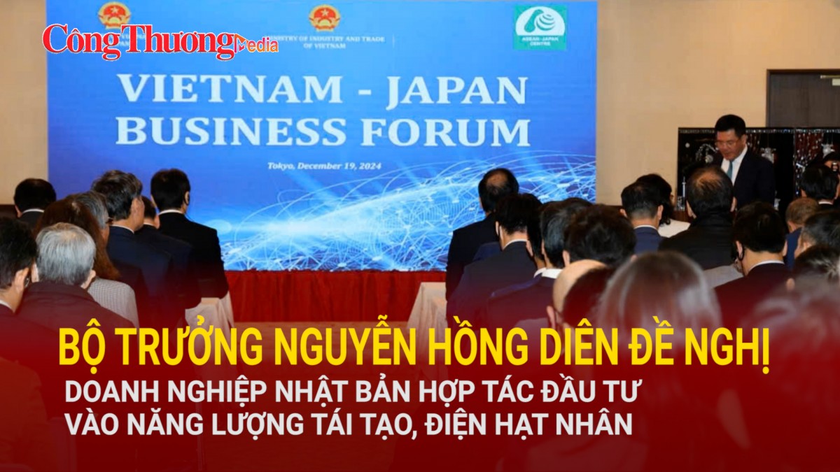 bo truong nguyen hong dien de nghi doanh nghiep nhat ban dau tu vao nang luong tai tao dien hat nhan