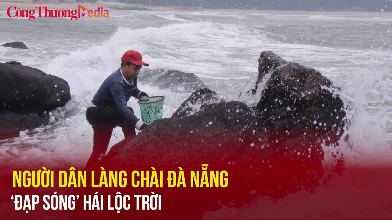 Người dân làng chài Đà Nẵng 'đạp sóng' hái lộc trời