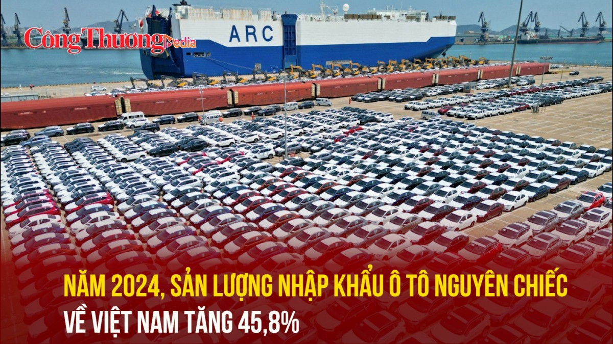 Năm 2024, sản lượng nhập khẩu ô tô nguyên chiếc về Việt Nam tăng 45,8%