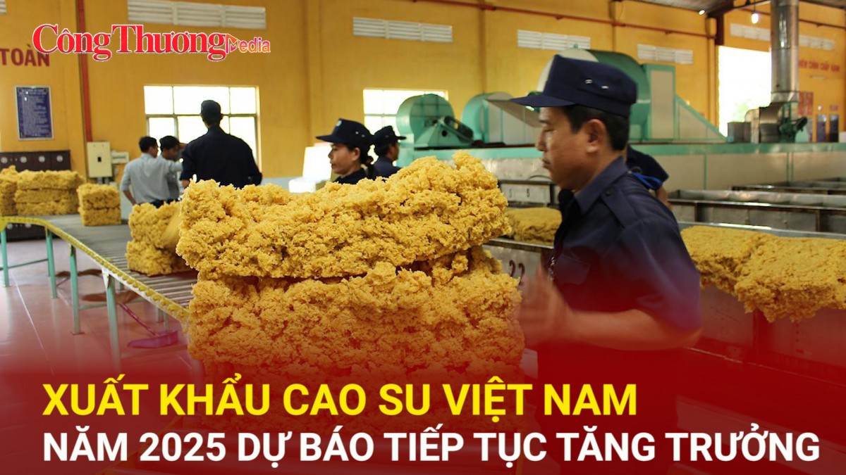 Xuất khẩu cao su Việt Nam năm 2025 dự báo tiếp tục tăng trưởng