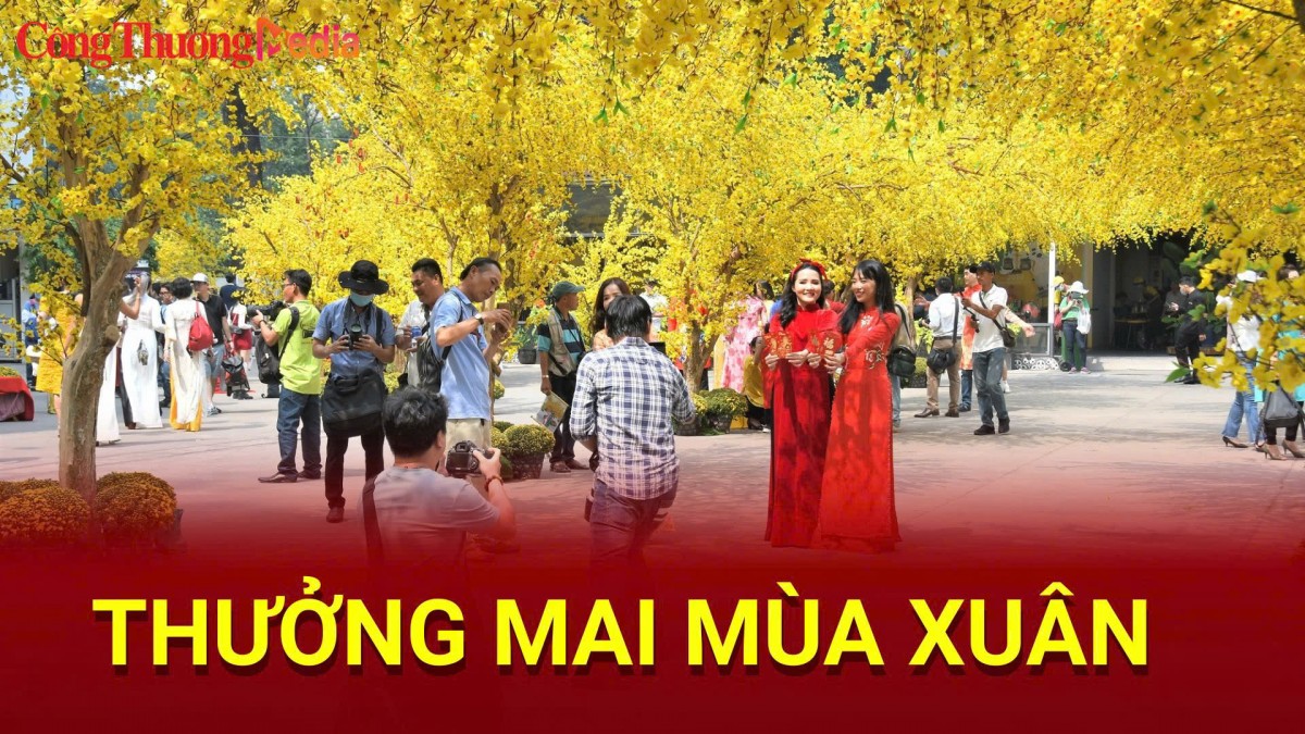 Thưởng mai mùa xuân