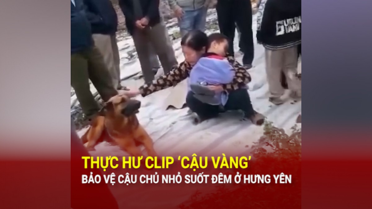 Xúc động Clip chú chó bảo vệ suốt đêm bé trai đi lạc ở bờ sông tại Hưng Yên