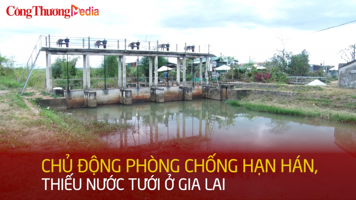 Chủ động phòng chống hạn hán, thiếu nước tưới ở Gia Lai