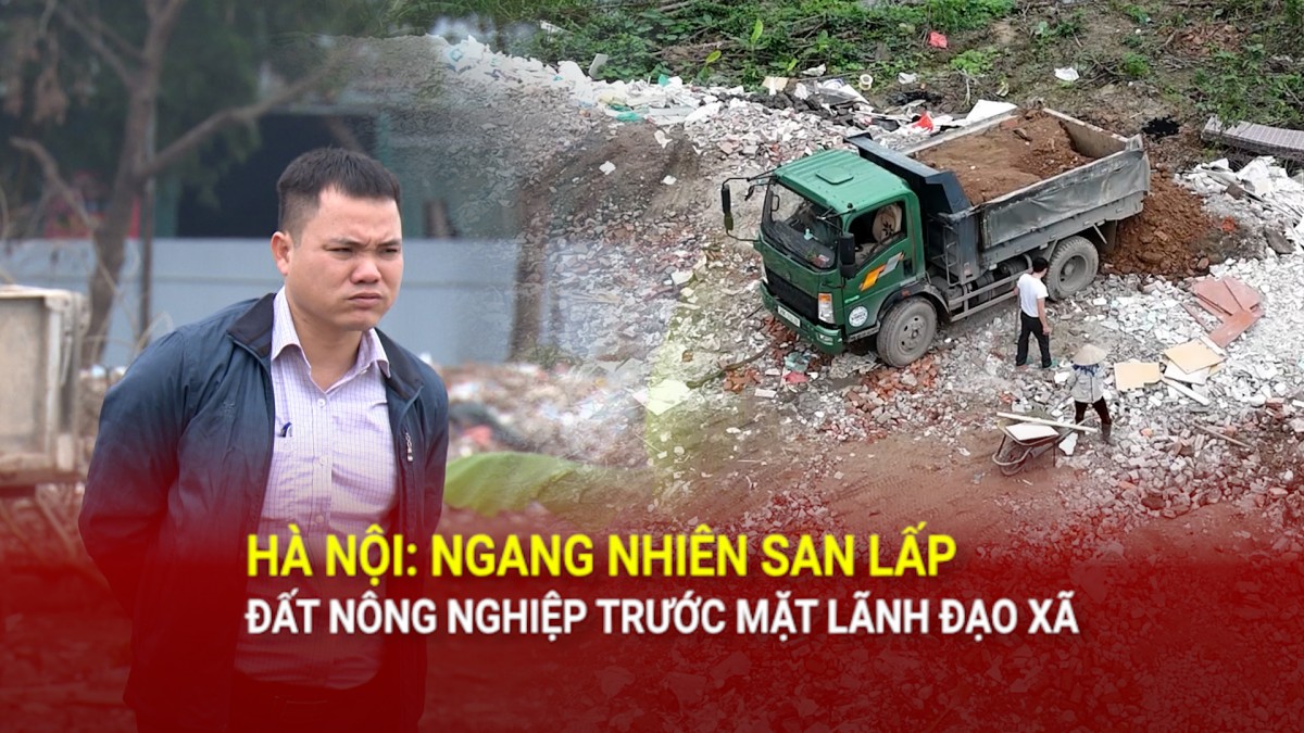 Hà Nội: Ngang nhiên san lấp đất nông nghiệp trước mặt lãnh đạo xã