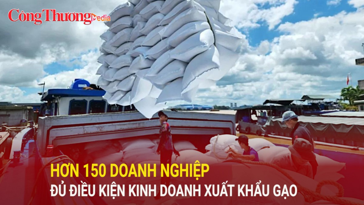 Hơn 150 doanh nghiệp đủ điều kiện kinh doanh xuất khẩu gạo