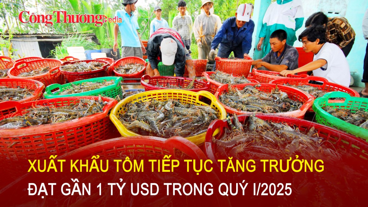 Xuất khẩu tôm tiếp tục tăng trưởng, đạt gần 1 tỷ USD trong quý I/2025