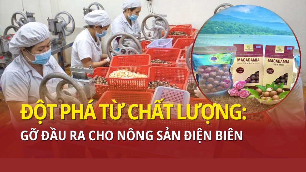 Đột phá từ chất lượng: Gỡ đầu ra cho nông sản Điện Biên