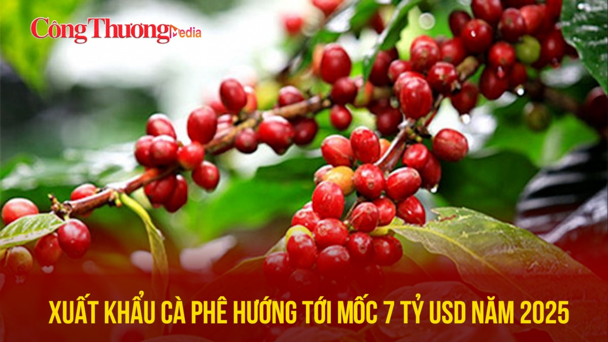 Xuất khẩu cà phê hướng tới mốc 7 tỷ USD năm 2025