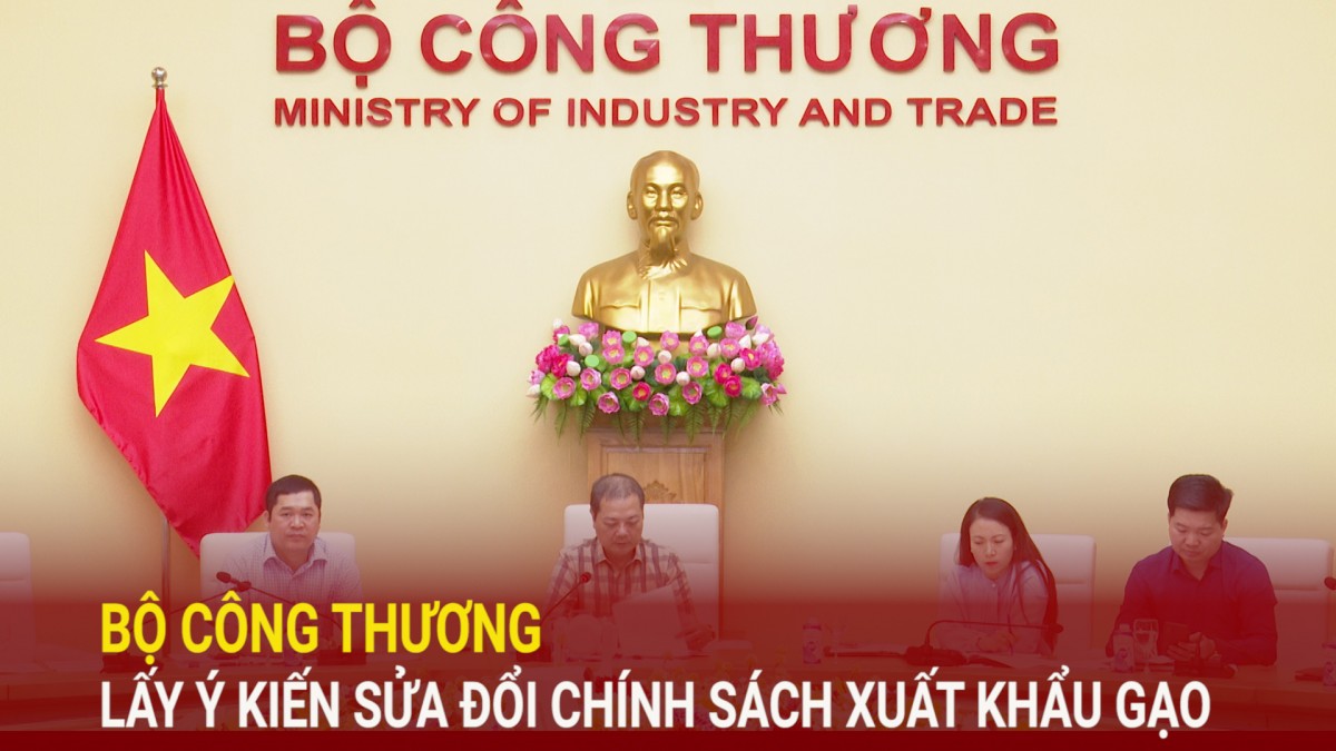 Bộ Công Thương lấy ý kiến sửa đổi chính sách xuất khẩu gạo