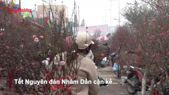 Đào Nhật Tân được mùa, vắng khách