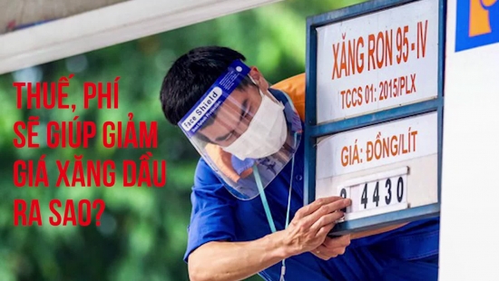 Thuế, phí sẽ giúp giảm giá xăng dầu ra sao?