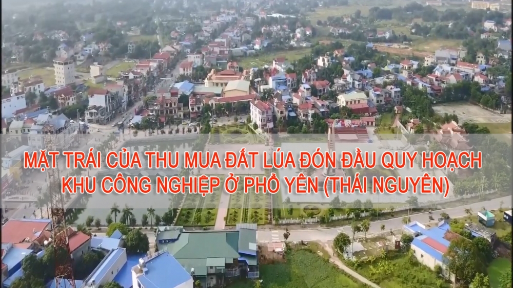 Mặt trái của thu mua đất lúa đón đầu quy hoạch khu công nghiệp ở Phổ Yên (Thái Nguyên)