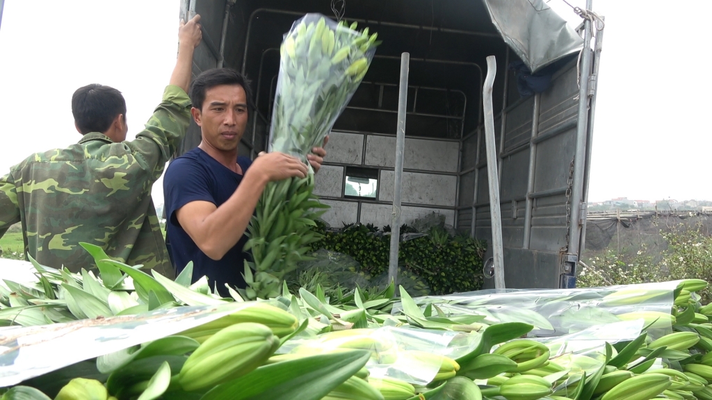 nha vuon chay nuoc rut cho vu hoa tet